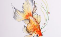 Fische Zeichnen Aquarell